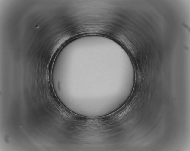 X0000096650883200802191240