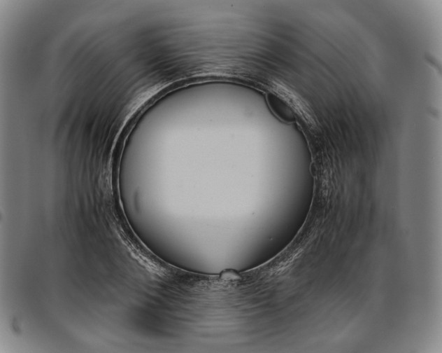 X0000096650884200802191240