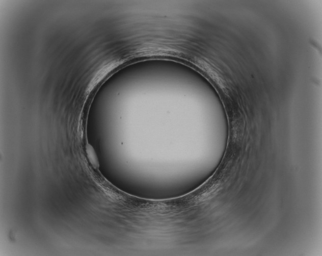 X0000096650885200802191240
