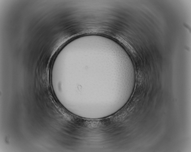 X0000096650886200802191240