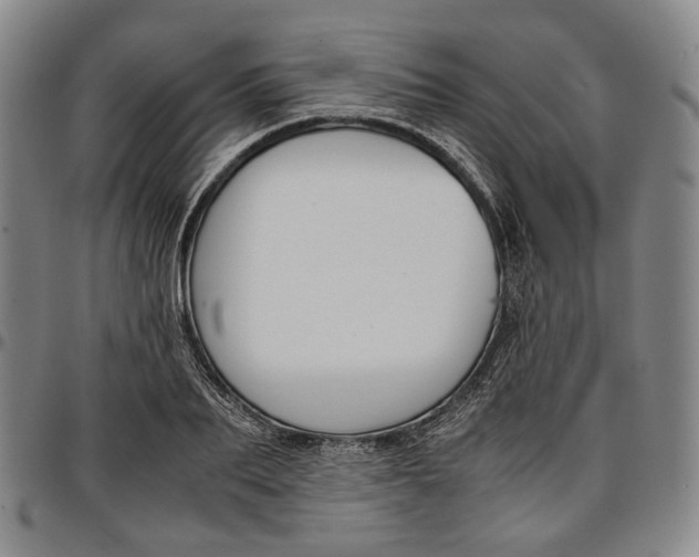 X0000096650887200802191240