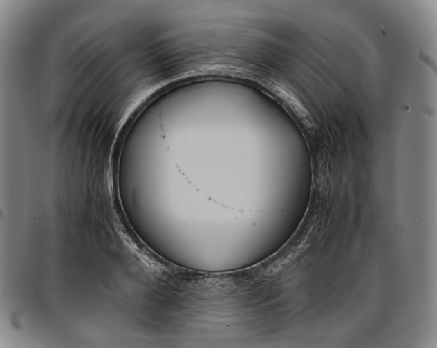 X0000096650888200802191240