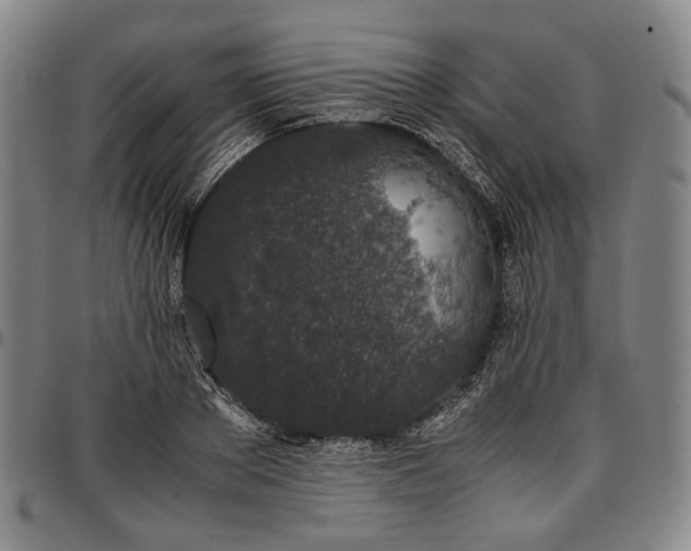 X0000096650889200802191240