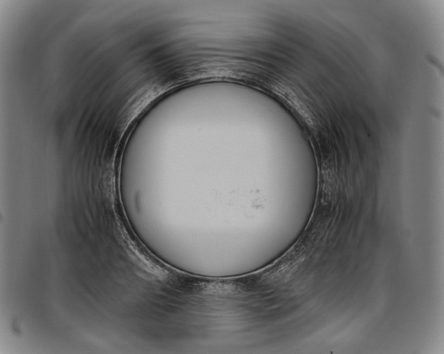 X0000096650890200802191240