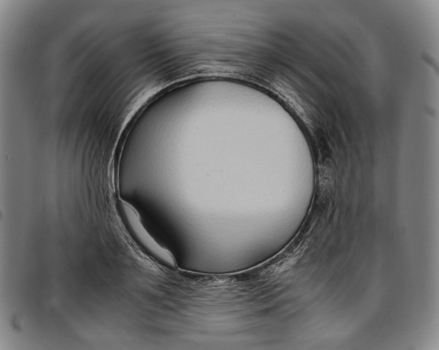 X0000096650891200802191240