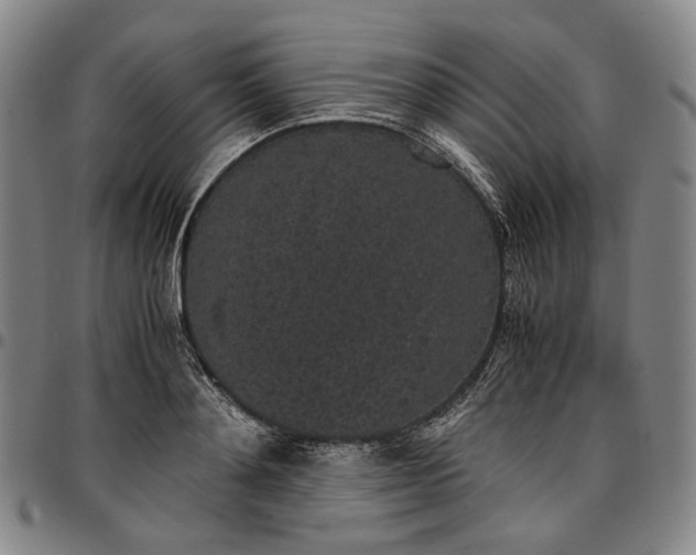 X0000096650892200802191240