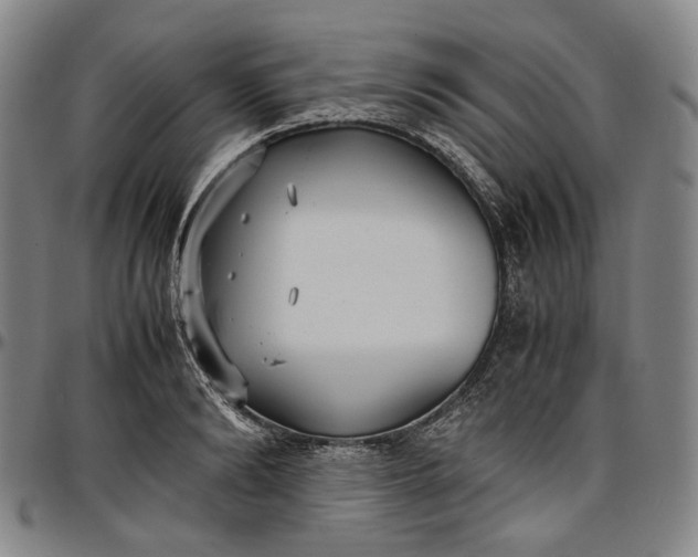 X0000096650894200802191240
