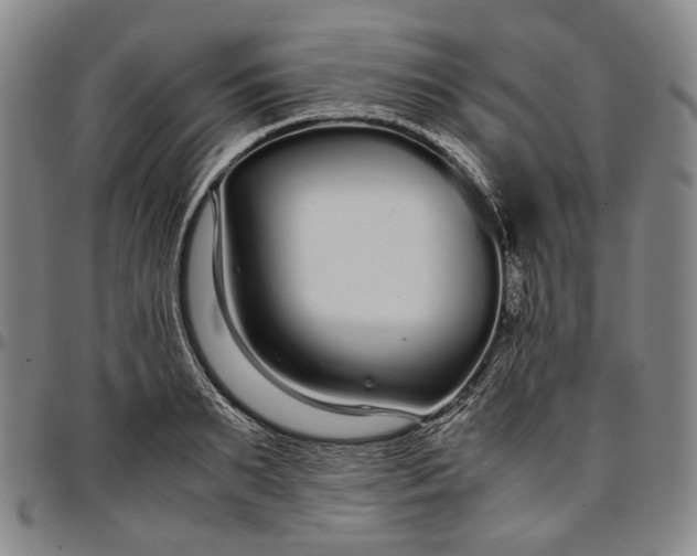 X0000096650895200802191240