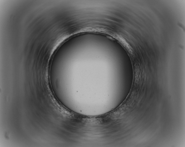 X0000096650896200802191240