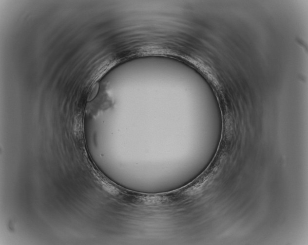 X0000096650897200802191240