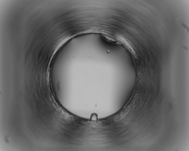 X0000096650900200802191240