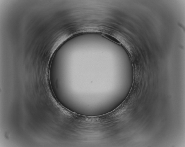 X0000096650901200802191240