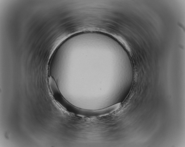 X0000096650903200802191240