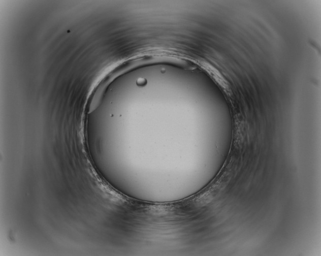 X0000096650904200802191240