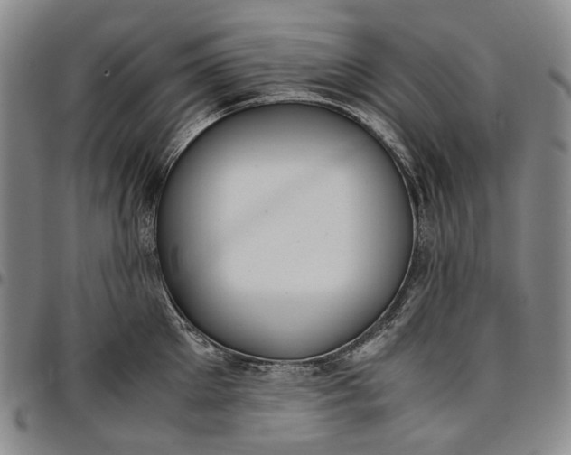 X0000096650905200802191240