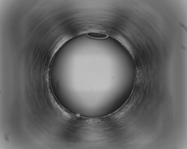 X0000096650906200802191240