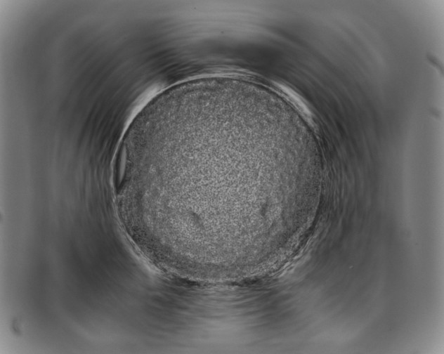 X0000096650907200802191240