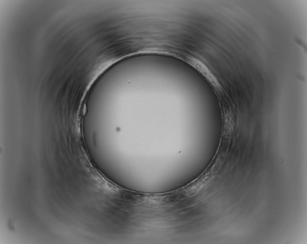 X0000096650908200802191240
