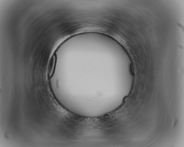 X0000096650912200802191240