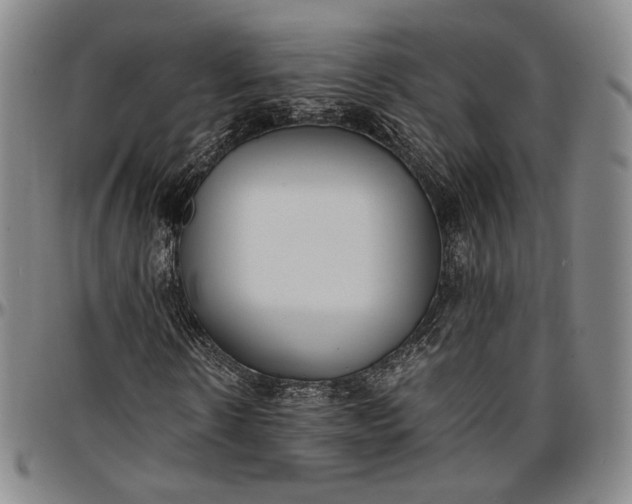 X0000096650914200802191239