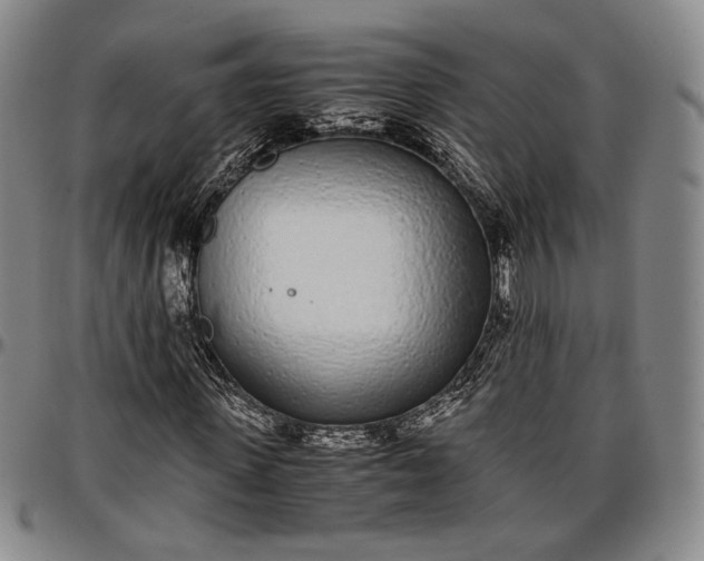 X0000096650915200802191239