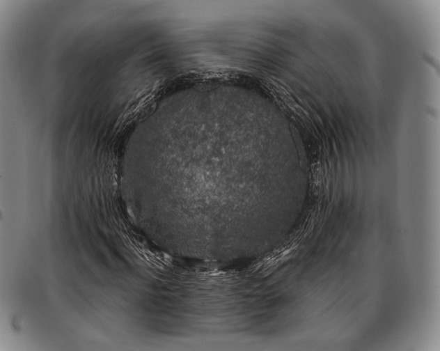 X0000096650916200802191239
