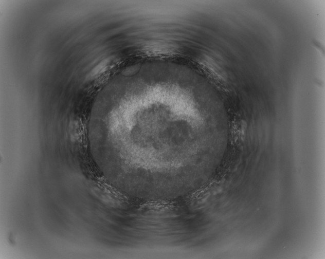X0000096650917200802191239