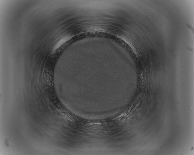 X0000096650919200802191239