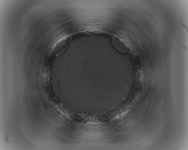 X0000096650920200802191239