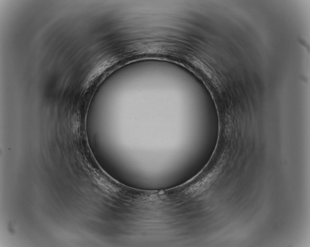 X0000096650922200802191239