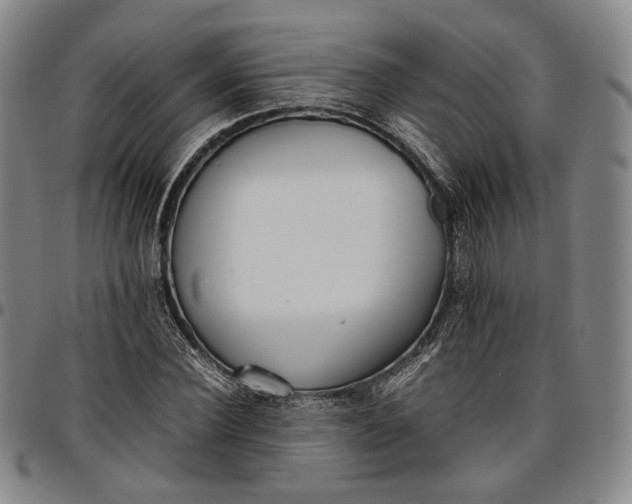 X0000096650924200802191239
