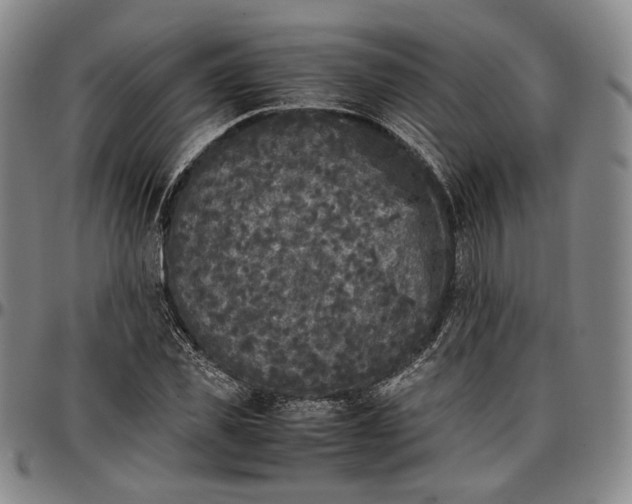 X0000096650925200802191239