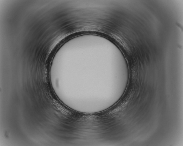 X0000096650926200802191239