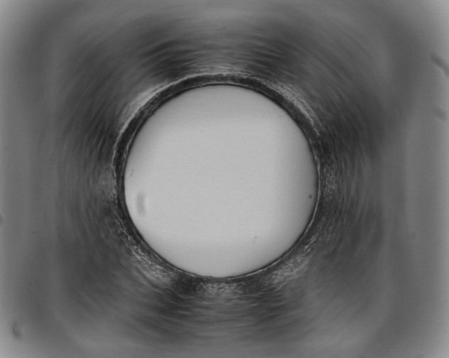 X0000096650927200802191239