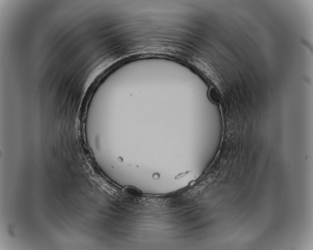 X0000096650928200802191239