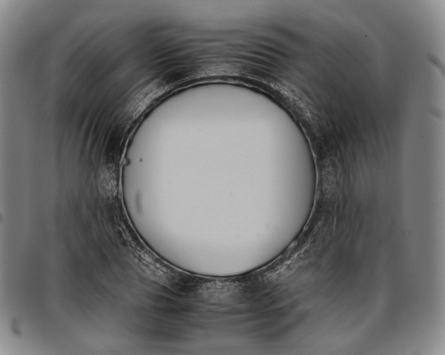 X0000096650929200802191239