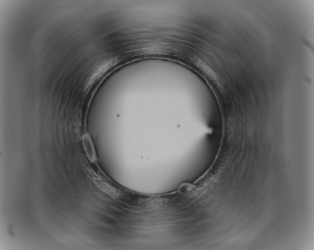 X0000096650930200802191239