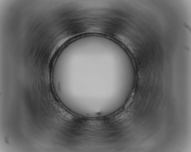 X0000096650931200802191239