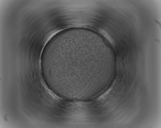 X0000096650932200802191239