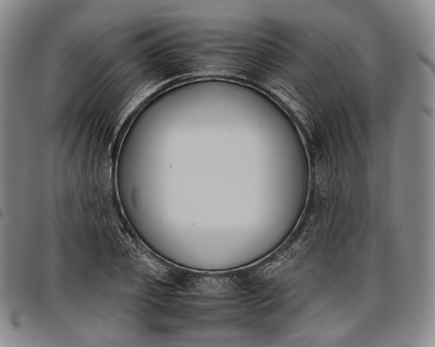 X0000096650933200802191239