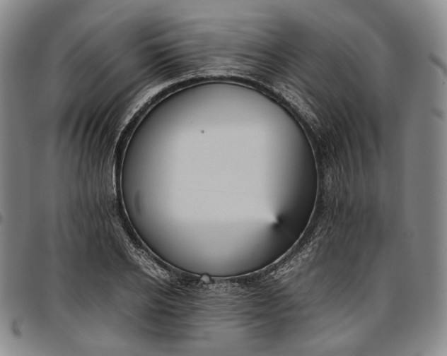 X0000096650934200802191239