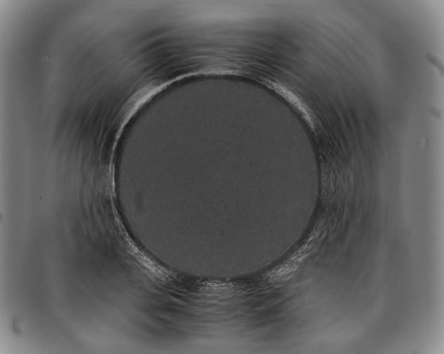 X0000096650935200802191239