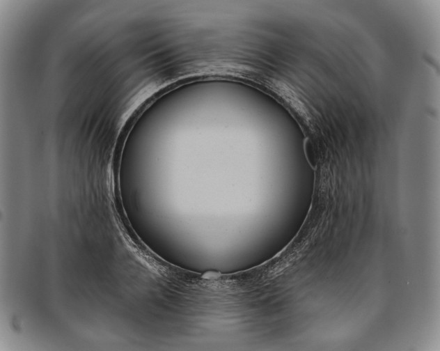 X0000096650936200802191239