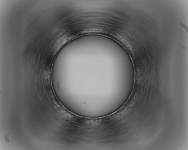 X0000096650937200802191239