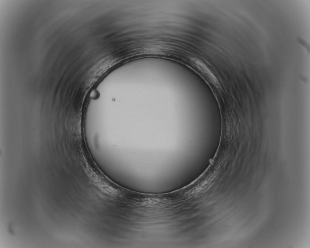 X0000096650938200802191239