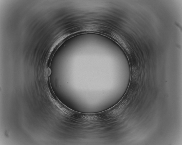 X0000096650939200802191239