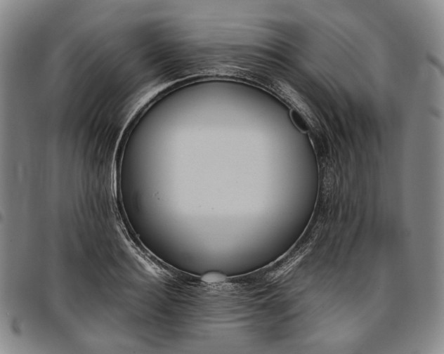 X0000096650940200802191239