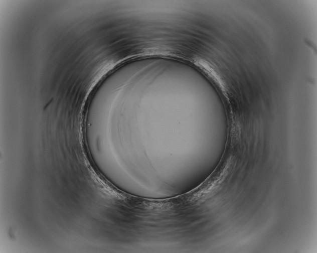 X0000096650941200802191239