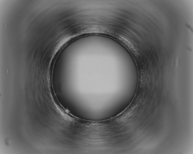 X0000096650942200802191239