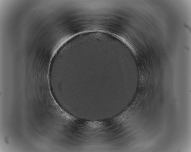 X0000096650943200802191239